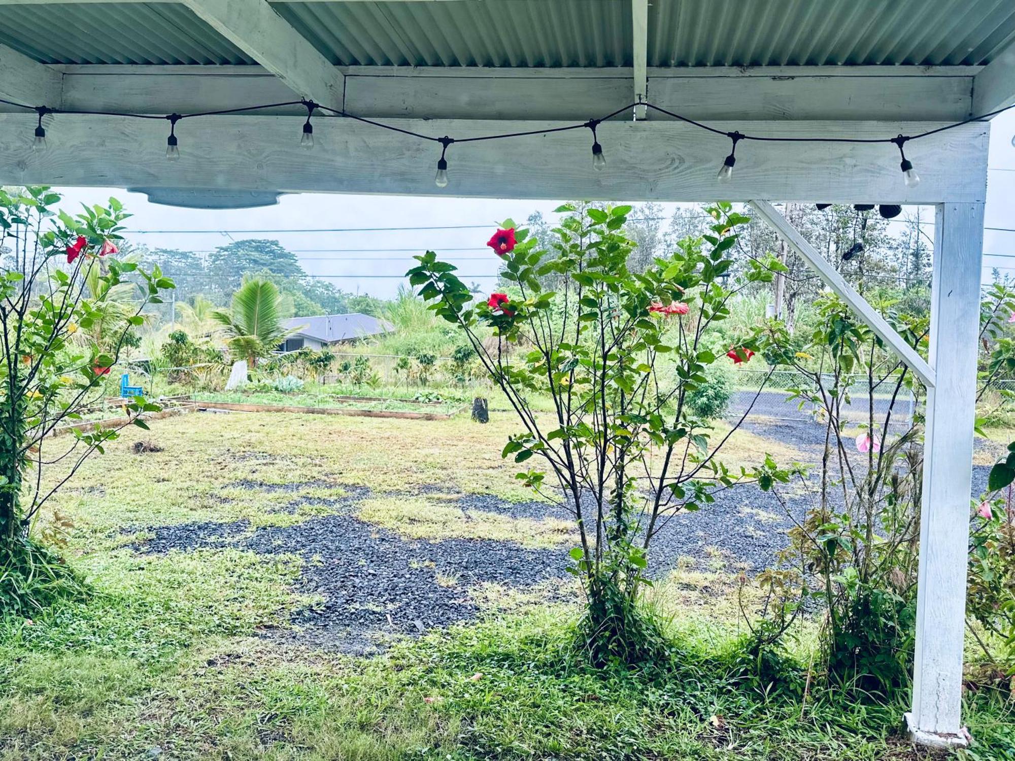 Kope Hale Farm House Near Hilo & Volcano National Park Pahoa Kültér fotó